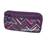 BV Fellow Kaleidoscope