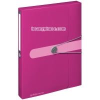 Document box - Bìa hộp Berry